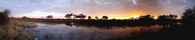 Okavango Panorama